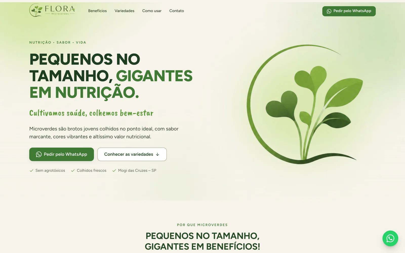 O site da Flora Microverdes no computador